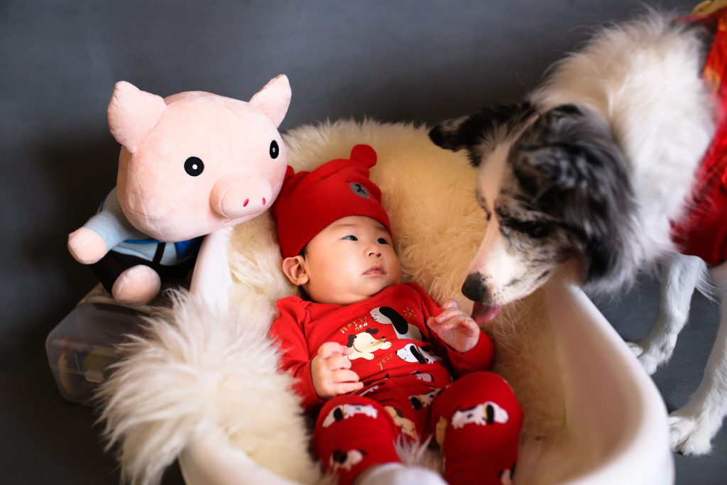 Un chien reagrdant un bébé dans son lit