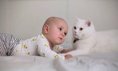 Bébé allongé avec un chat