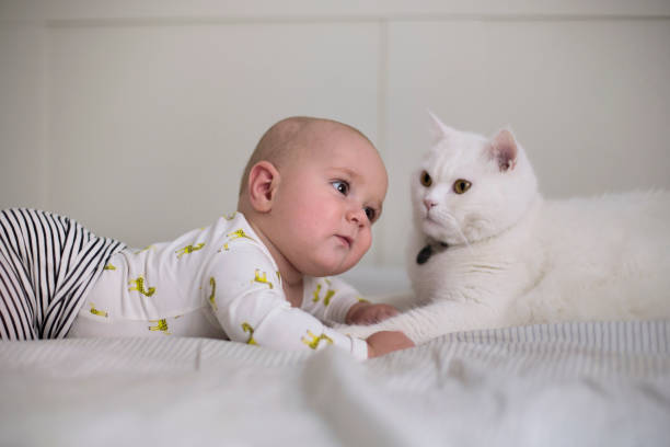 Bébé allongé avec un chat