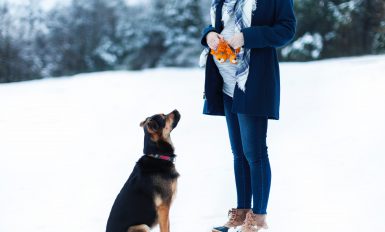 Un chien devant une femme enceinte